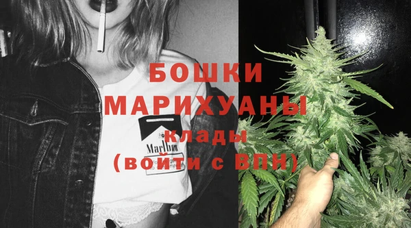 амф Белокуриха