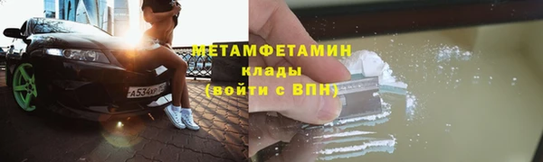 шишки Беломорск