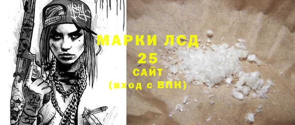 шишки Беломорск