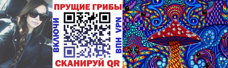 Псилоцибиновые грибы прущие грибы  Купить где  Минеральные Воды 